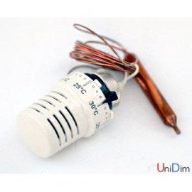 Термостатична головка із занурювальним датчиком WATTS 148SD2