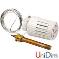 Термоголовка с выносным датчиком Giacomini R462LХ021