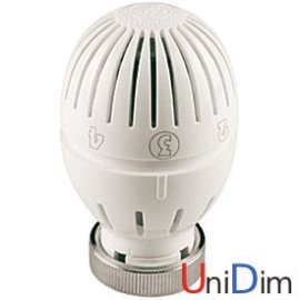 Термоголовка с жидкостным датчиком Giacomini R470HX001