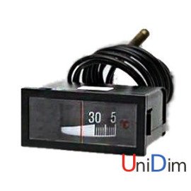 Термометр дистанційний WATTS TEF